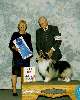 Herding Group - Shetland Sheepdog