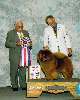 BEST IN SHOW - Chow chow