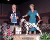 Non-sporting Group - Dalmation