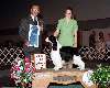 Sporting Group - Springer spaniel