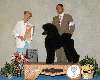 Sunday Best Junior Handler (miniature poodle)