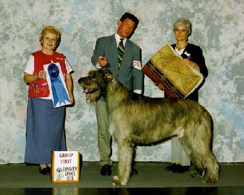 Hound Group - Irish wolfhound