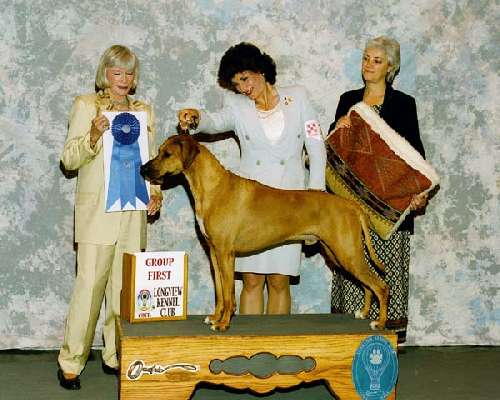Hound Group - Rhodesian ridgeback