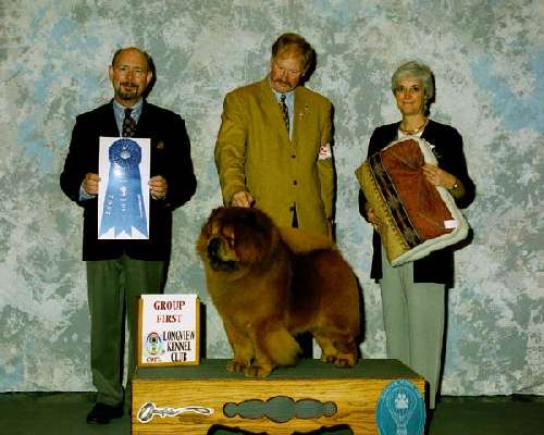 Non-Sporting Group - Chow chow