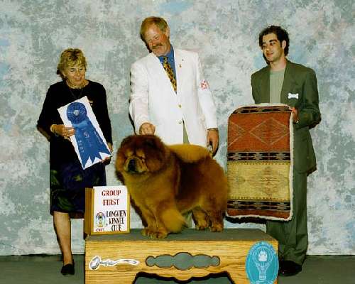 Non-Sporting Group - Chow chow