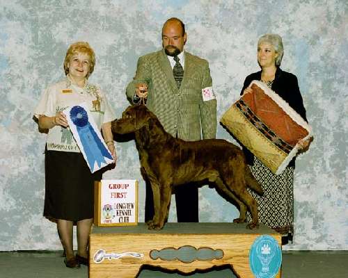 Sporting Group - Chesapeake Bay retriever
