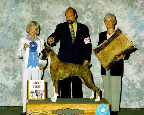 Working Group - Boxer