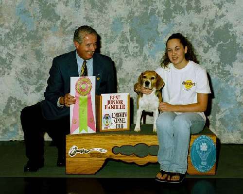 Junior Handler - Beagle