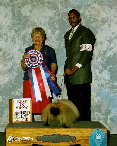 Best in Show - Pekingese