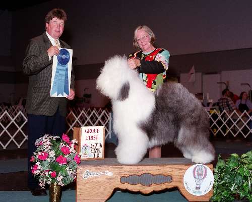 Herding Group - Old English sheepdog