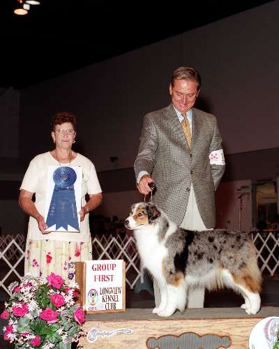 Herding Group - Australian shepherd