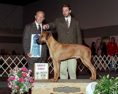 Hound Group - Rhodesian ridgeback
