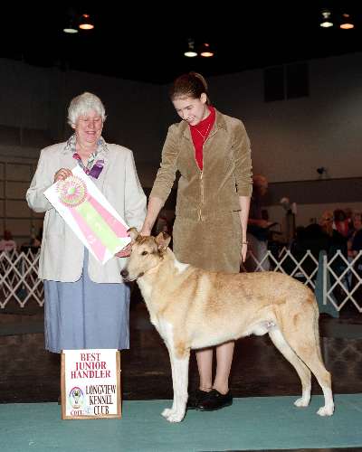 Junior Handler - Collie - smooth