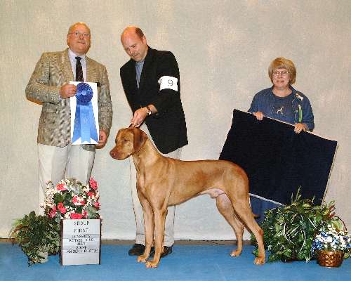 Hound Group - Rhodesian ridgeback