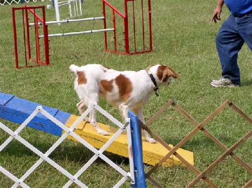 Brittany on the seesaw